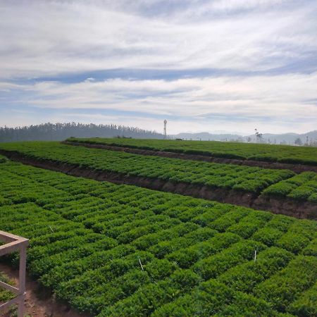 Brown Tree Resorts Ooty Esterno foto