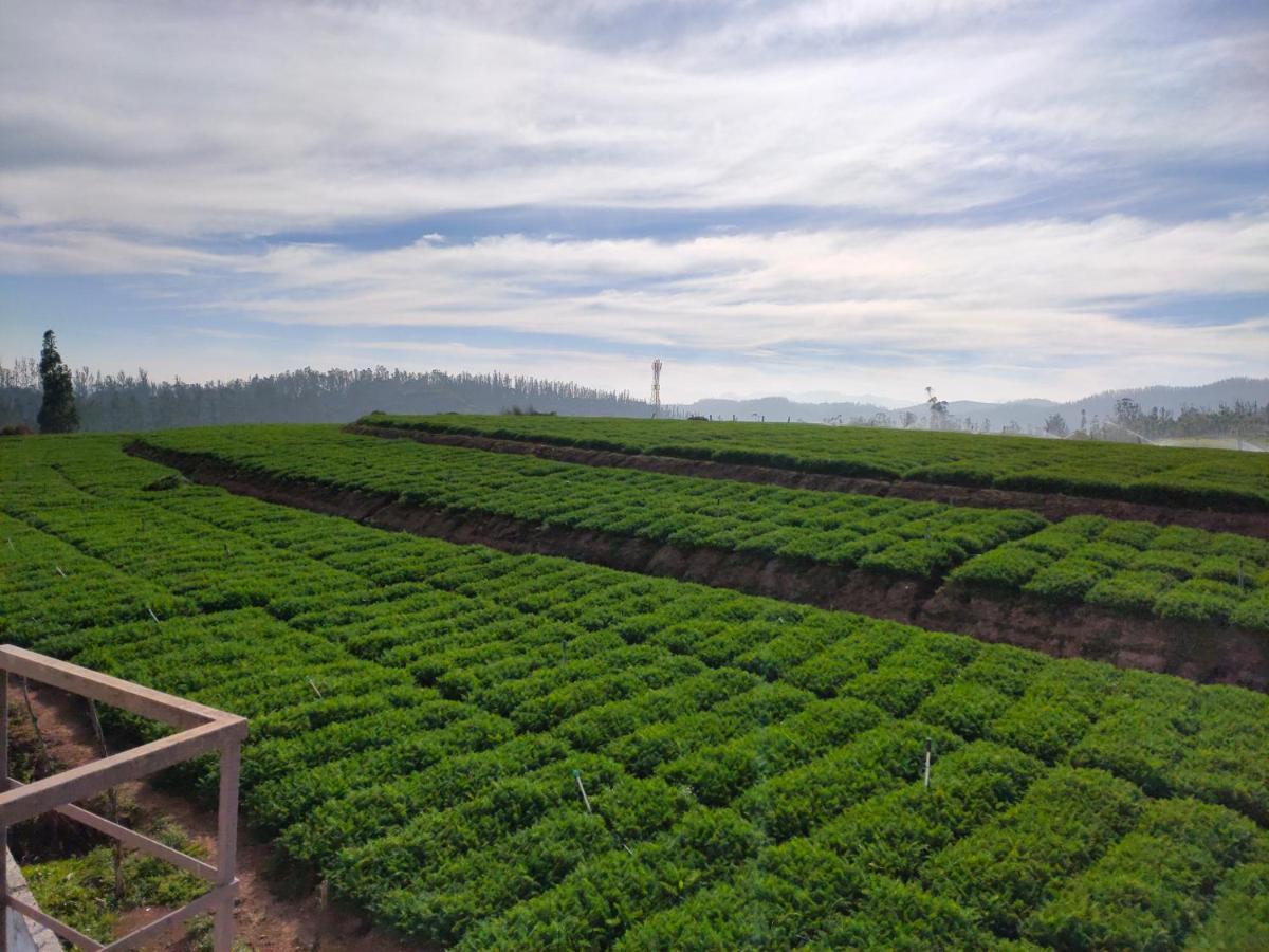 Brown Tree Resorts Ooty Esterno foto